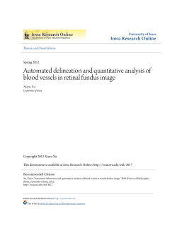Automated delineation and quantitative analysis of blood vessels in