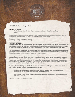 CHRISTIAN: Part 6: Angry Birds