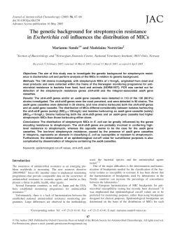 The genetic background for streptomycin