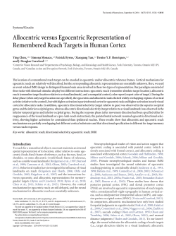 Allocentric versus Egocentric Representation of Remembered