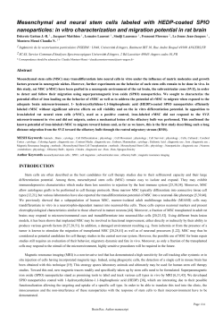 Mesenchymal and neural stem cells labeled with - HAL