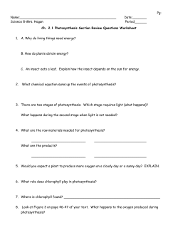 2.1 Photosynthesis Section Review Qs WS