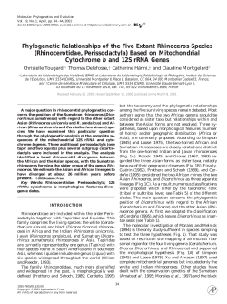 Phylogenetic Relationships of the Five Extant Rhinoceros Species