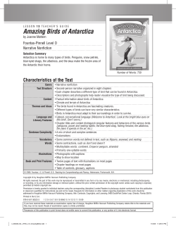 Amazing Birds of Antarctica