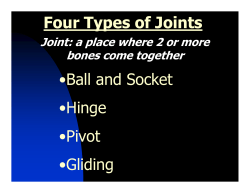 Four Types of Joints •Ball and Socket •Hinge •Pivot •Gliding