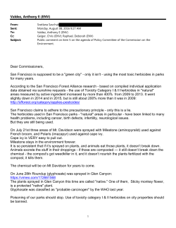 Public Comment - SF Environment