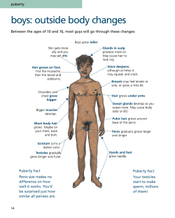 Teens | Puberty Changes in Boys