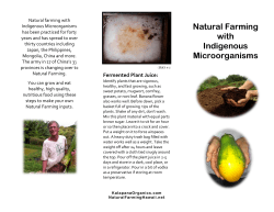 Natural Farming with Indigenous Microorganisms