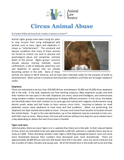 Circus Animals - Animal Law Source