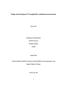 Design and development of Van-gogh-likel