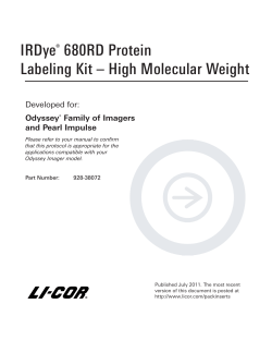 IRDye&reg; 680RD Protein Labeling Kit &ndash; High - LI