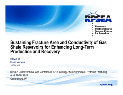 Sustaining Fracture Area and Conductivity of Gas Shale