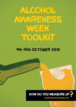 2010 toolkit - Drinksinitiatives.eu
