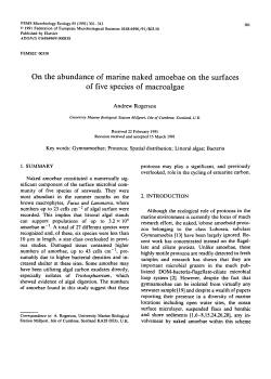 On the abundance of marine naked amoebae on the surfaces of five