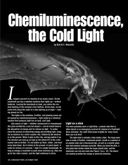 Chemiluminescence and fireflies