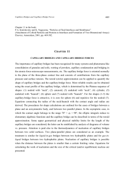 Capillary Bridges and Capillary