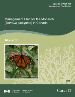 Management Plan for the Monarch (Danaus plexippus)