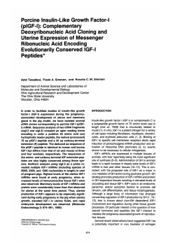 Porcine Insulin-Like Growth Factor-I (pIGF-l
