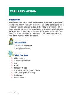 capillary action. - Infobase Publishing