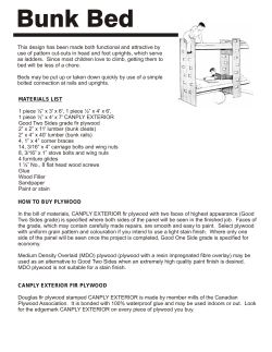 Bunk Bed Plywood Plan