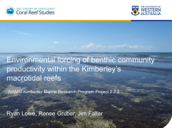 Environmental forcing of benthic community productivity within the