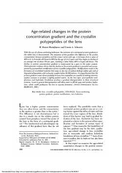 Age-related changes in the protein concentration gradient