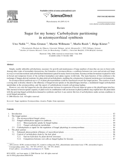 Sugar for my honey: Carbohydrate partitioning