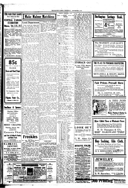 Freckles - NYS Historic Newspapers