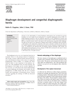 Diaphragm development and congenital diaphragmatic hernia
