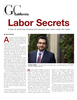 A look at some top employment lawyers who work under the radar