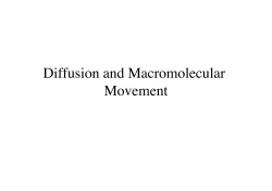 Diffusion and Macromolecular Movement