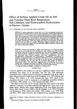 Effect of Surface Applied Crude Oil on Soil and Vascular Plant Root