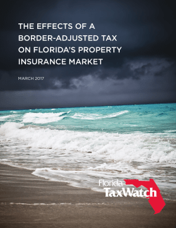 THE EFFECTS OF A BORDER-ADJUSTED TAX ON FLORIDA`S