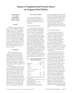Impact of Supplemental Protein Source on Pregnant