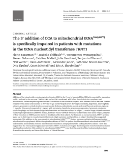 The 3&prime; addition of CCA to mitochondrial tRNA is specifically