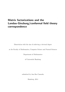Matrix factorizations and the Landau-Ginzburg/conformal field theory