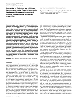 Interaction of Excitatory and Inhibitory Frequency