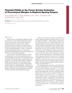 Potential Pitfalls in the Frozen Section Evaluation of Parenchymal