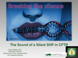 Breaking the Silence