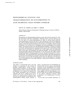 histochemical staining and characterization of glycoproteins in acid