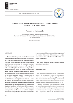 DORSAL BRANCHES OF ABDOMINAL AORTA IN THE