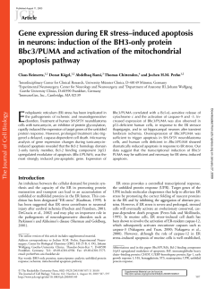 Gene expression during ER stress&ndash;induced apoptosis in neurons