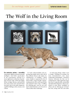 The Wolf in the Living Room