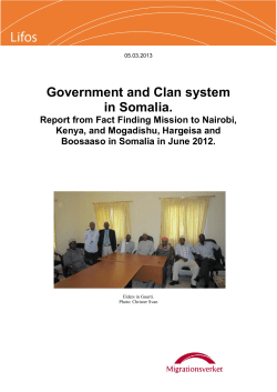 Government and Clan system in Somalia.