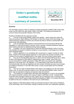 Oxitec`s genetically modified moths: summary of concerns