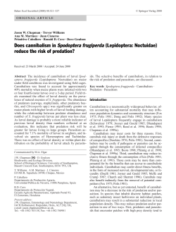 PDF - Trevor Williams HOMEPAGE