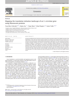 Mapping the translation initiation landscape of an S. cerevisiae gene