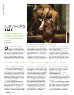 PDF - Carnegie Museums of Pittsburgh