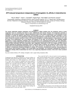 ATP-induced temperature independence of hemoglobin&ndash;O2 affinity