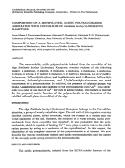 COMPOSITION OF A METHYLATED, ACIDIC POLYSACCHARIDE